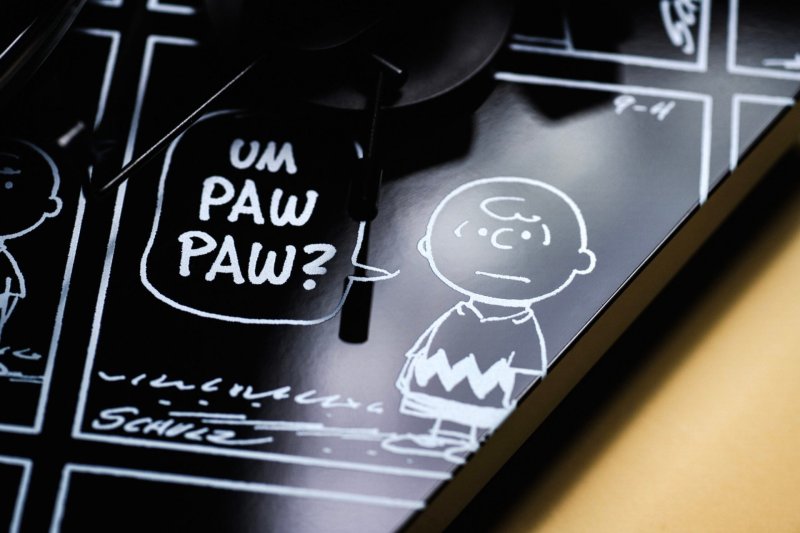 Pro-Ject Peanuts Turntable - Plinth Artwork Detail