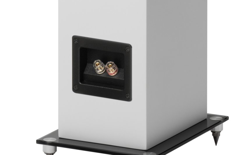 Pro-Ject Speaker Box 10 E Carbon White Terminals Detail