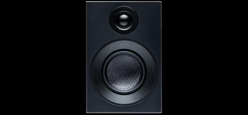 Pro-Ject Speaker Box 3 E Carbon - carbon fibre composite driver detail