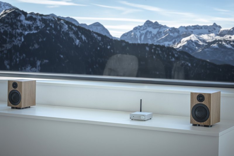 Pro-Ject Speaker Box 3 E Carbon Walnut pair at window with mountain view