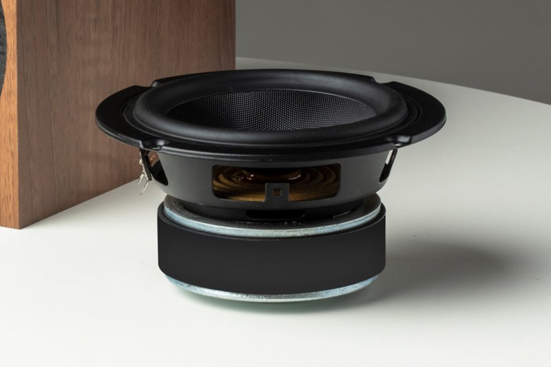 Pro-Ject Speaker Box 5 E woofer driver detail