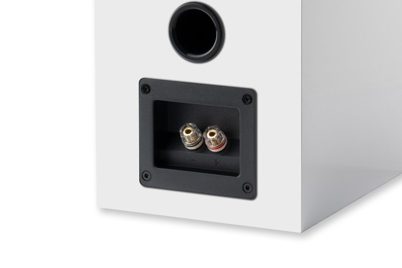 Pro-Ject Speaker Box 5 E binding post terminals