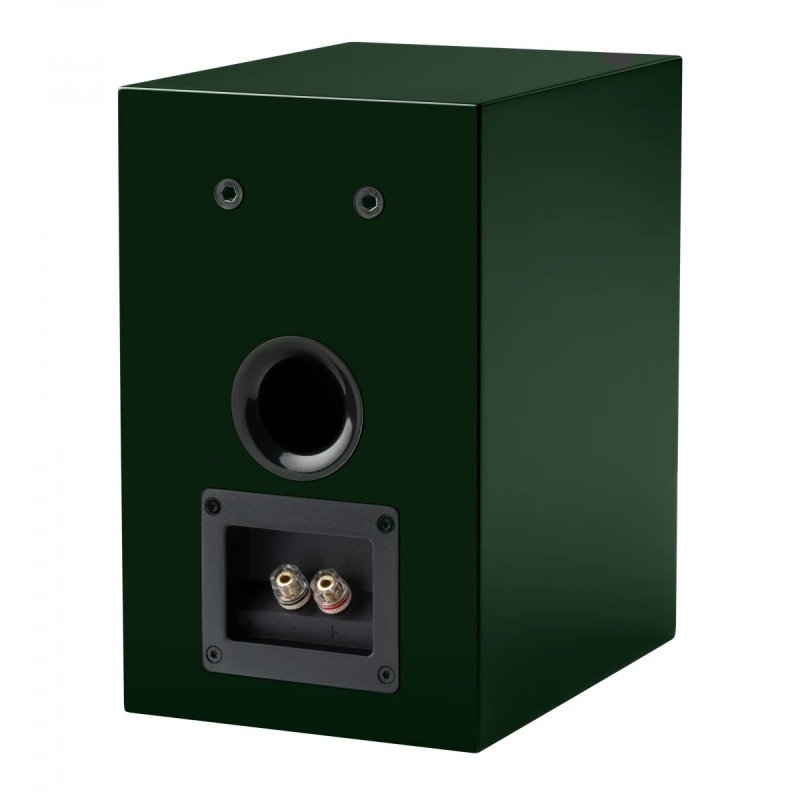 Pro-Ject Speaker Box 5 E Carbon carbon rear