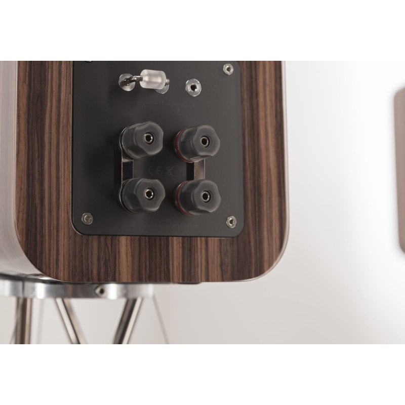 Q Acoustics Concept 300 Standmount Speakers Black and Rosewood (Excl. Stand) (Pair) — rear connection panel
