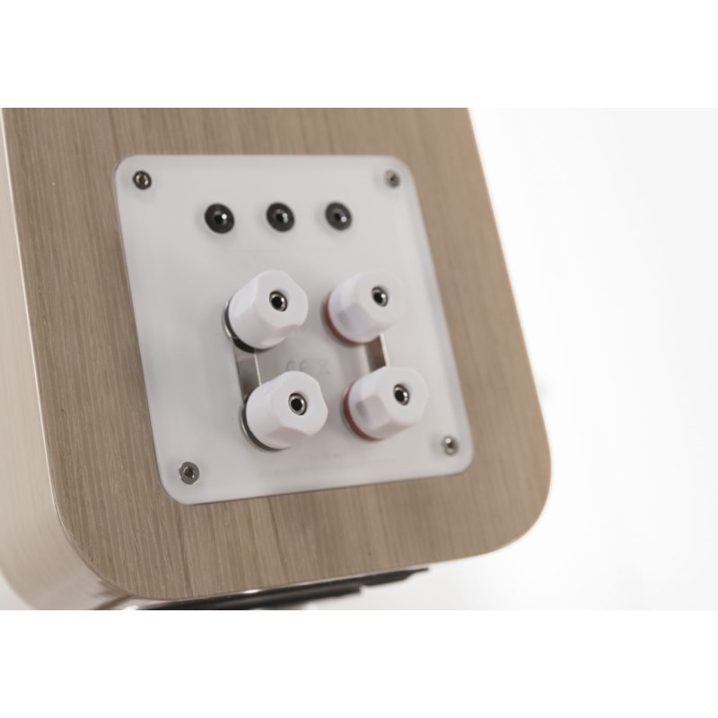 Q Acoustics Concept 300 Standmount Speakers White and Oak (Pair) — rear panel detail