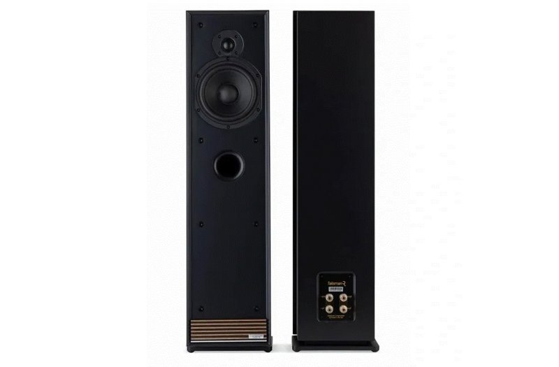 Ruark Talisman-R Satin Charcoal front and rear view showing bi-wire binding posts