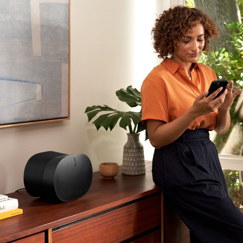 Sonos Era 300 Wireless Speaker Black — mobile control