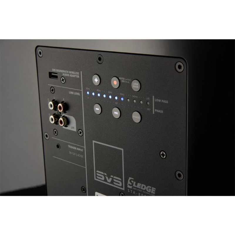 SVS PB-3000 Subwoofer Black Ash — rear panel connections