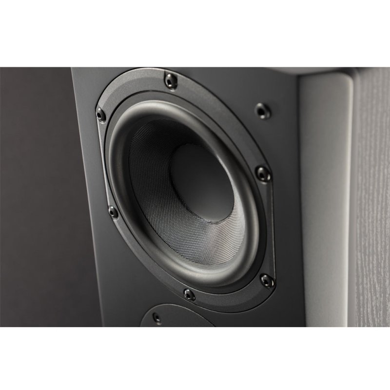 SVS Prime Pinnacle Speaker - rear panel showing triple ports
