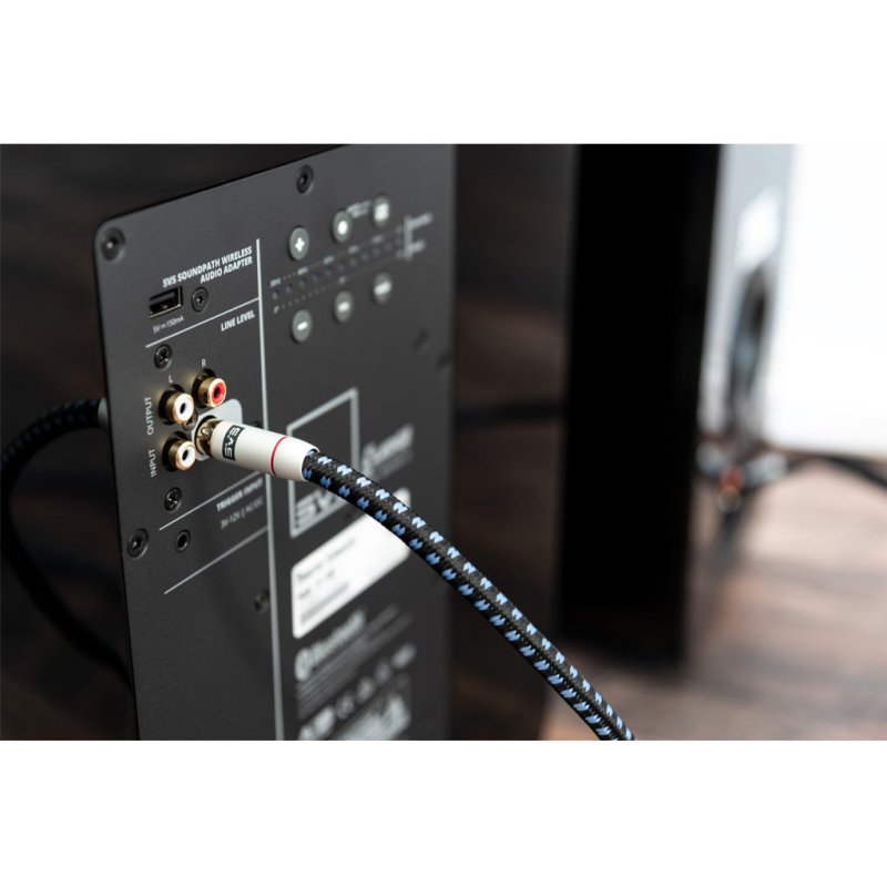 SVS SoundPath RCA Audio Interconnect Cable (15m Pair) — rear panel connection