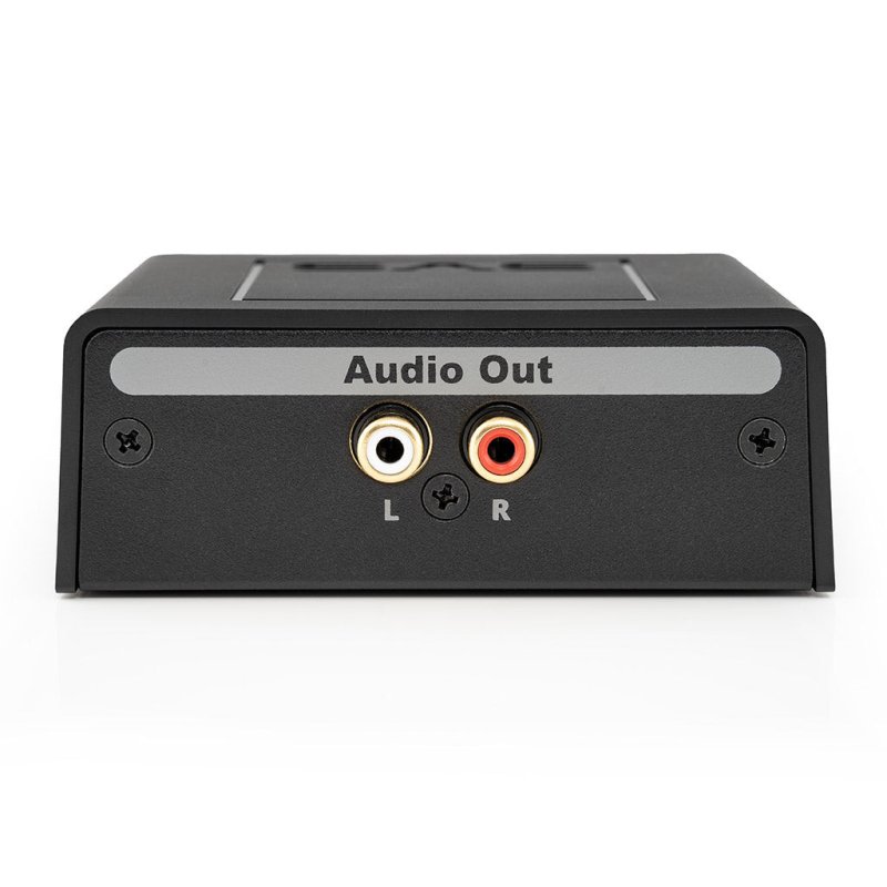 SVS SoundPath Speaker Level Subwoofer Adaptor — Audio Out RCA jacks close-up