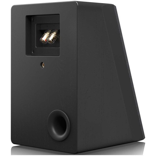 SVS Ultra Evolution Elevation Speaker - Rear panel showing binding posts and bass port