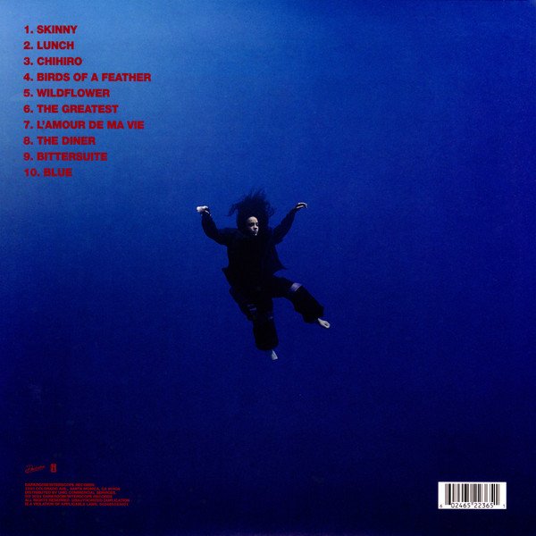 Hit Me Hard and Soft rear sleeve with the ten track listing