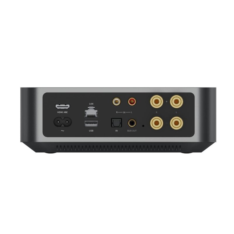 WiiM Amp Rear Panel Connections