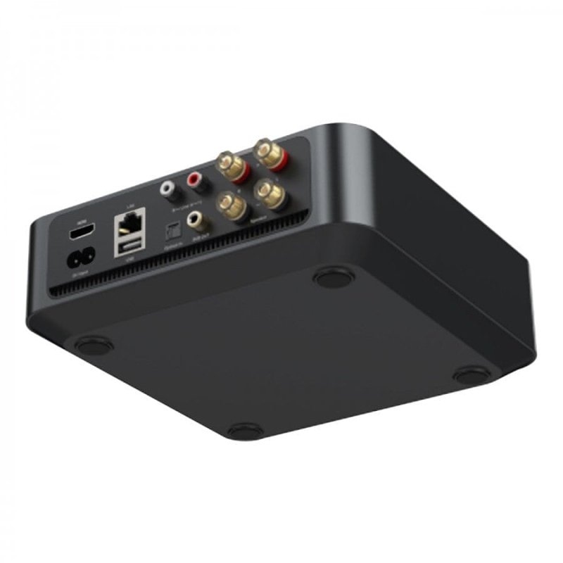WiiM Amp Rear Panel Angle