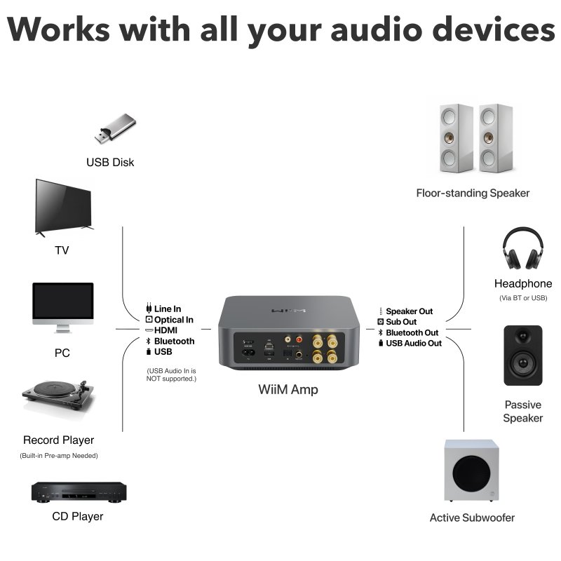 WiiM Amp Rear Panel and Connectivity