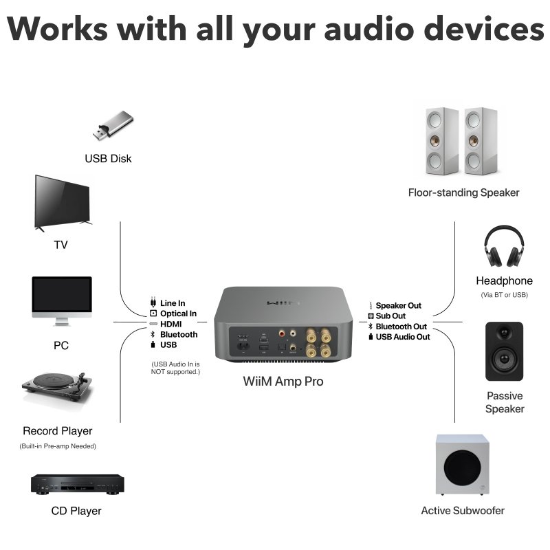 WiiM Amp Pro - connectivity diagram showing inputs and outputs