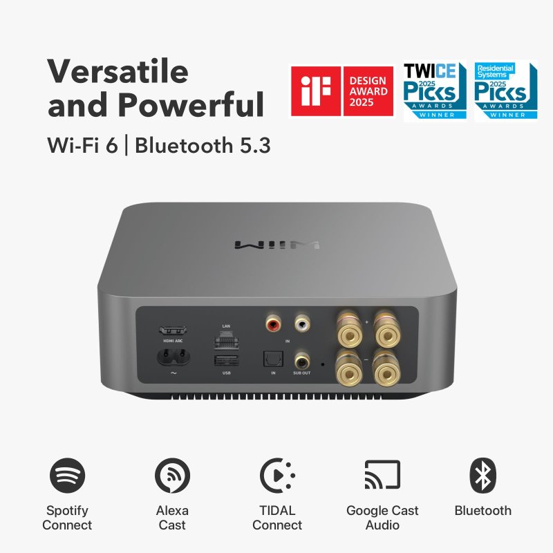 WiiM Amp Pro Streaming Amplifier Space Grey - rear connections, Wi-Fi 6, Bluetooth 5.3