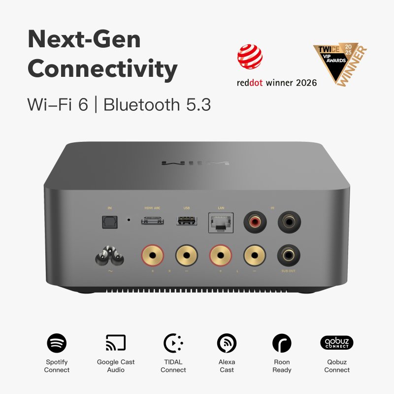 WiiM Amp Ultra rear panel and connectivity