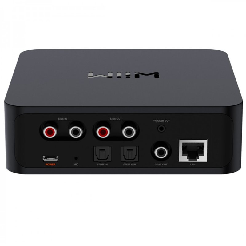 WiiM Pro Audio Streamer rear panel connections