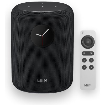 WiiM Sound Wireless Speaker Black