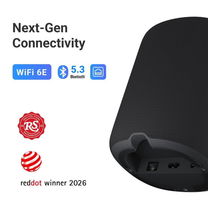 WiiM Sound rear panel and connectivity