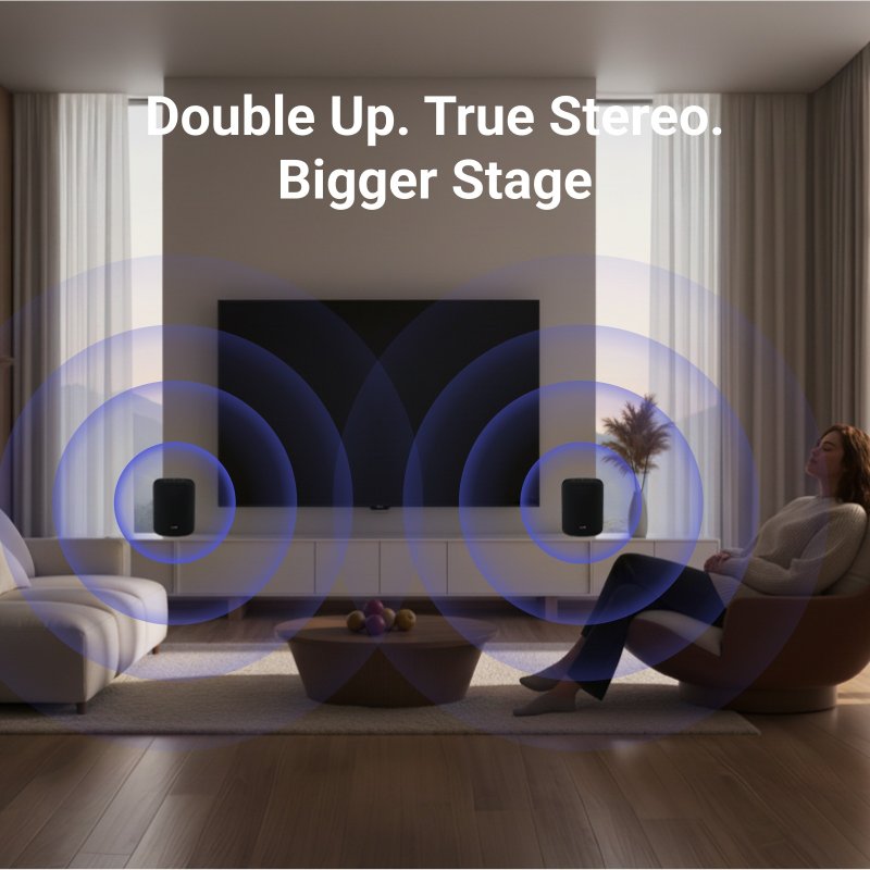 WiiM Sound Lite - True Stereo Pairing