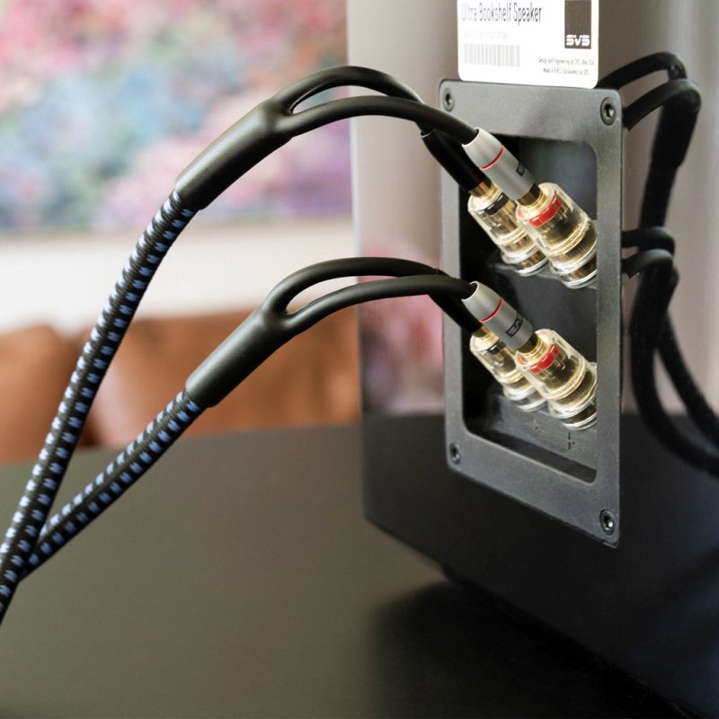 SVS SoundPath Ultra Bi-Wire Speaker Cable — connected to speaker binding posts